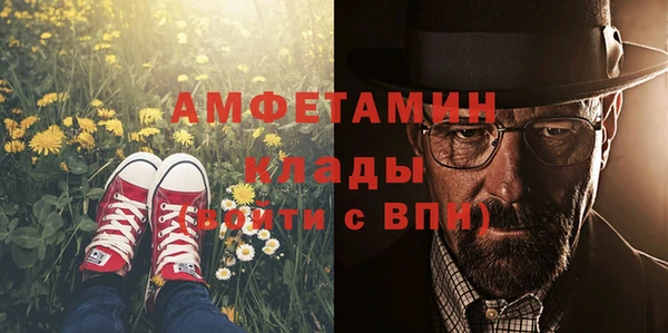 метадон Алексин