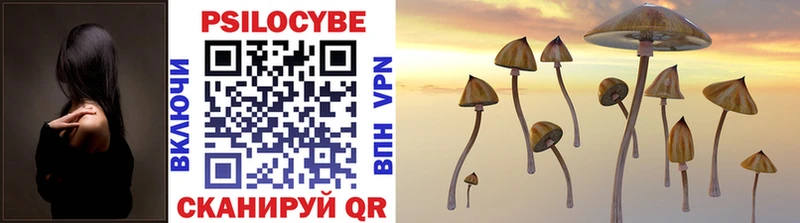 Галлюциногенные грибы Cubensis  Раменское 