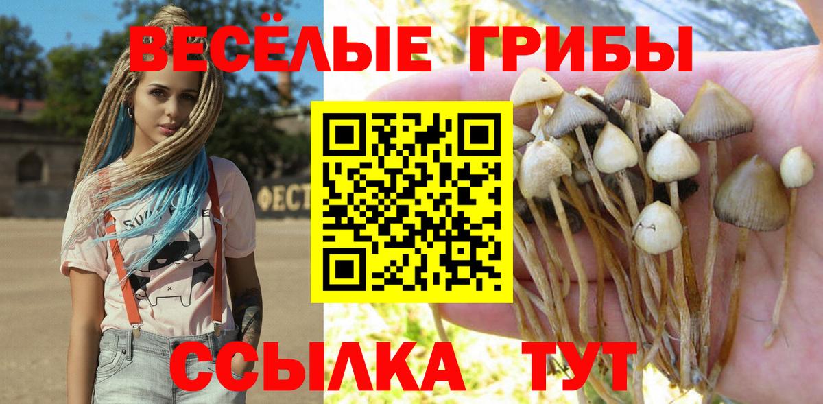 Галлюциногенные грибы MAGIC MUSHROOMS Раменское