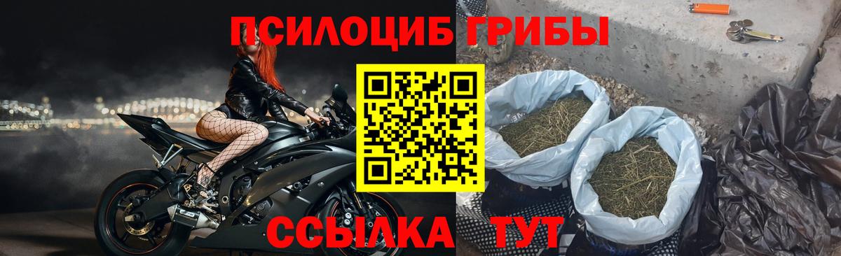 Галлюциногенные грибы MAGIC MUSHROOMS Раменское